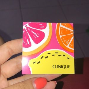 CLINIQUE SHADOW DUO & BLUSH